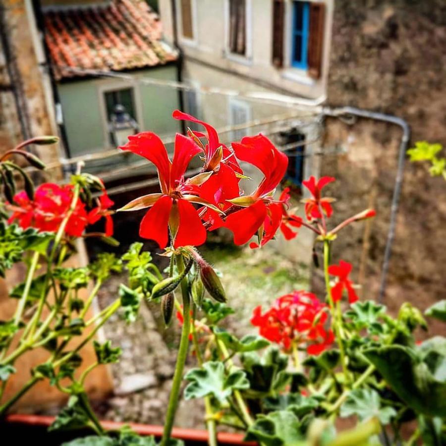 לינה וארוחת בוקר Santa Lucia  Dulcis In Borgo מראה חיצוני תמונה